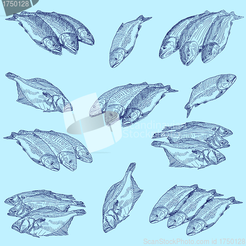 Image of Set fresh sea fishes 