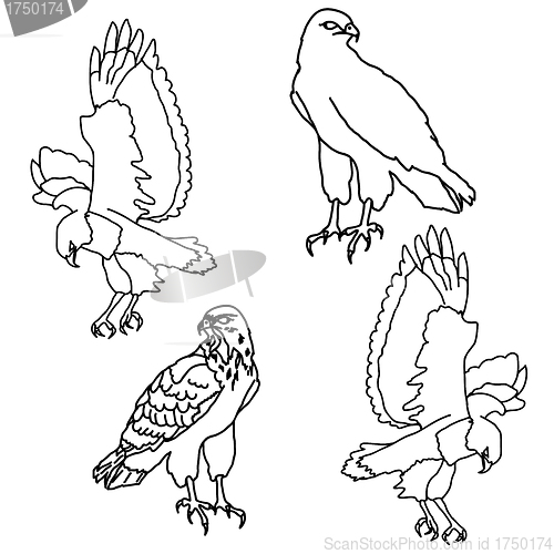 Image of Eagles symbols and tattoo