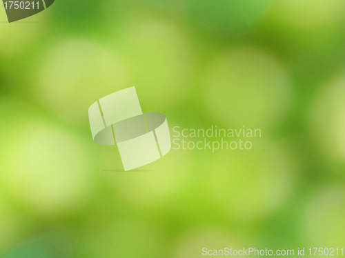 Image of Blur background