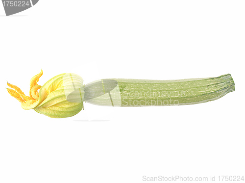 Image of Courgettes zucchini