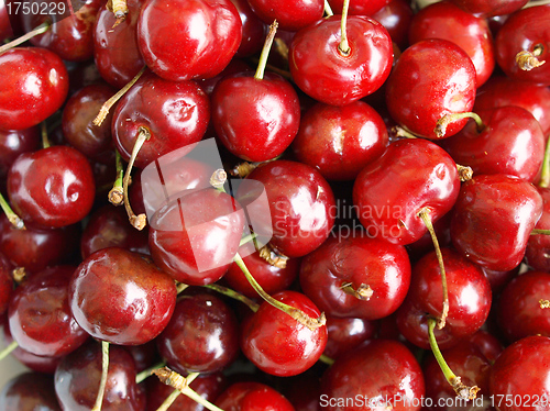 Image of Cherry