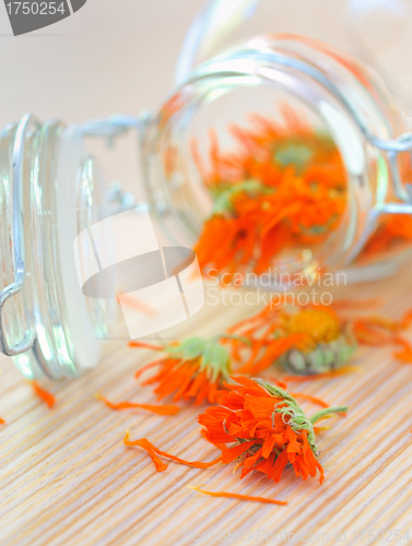 Image of marigold herbal tea