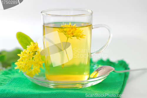 Image of cup of linden tea and flowers 