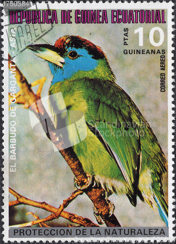 Image of Stamp Showing a Blue Throated Barbet