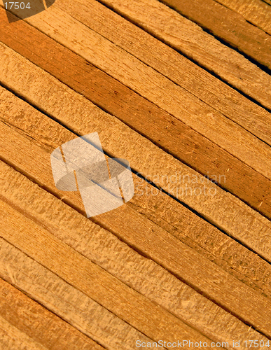 Image of Wood Macro