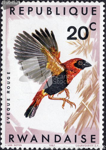 Image of Southern Red Bishop Stamp