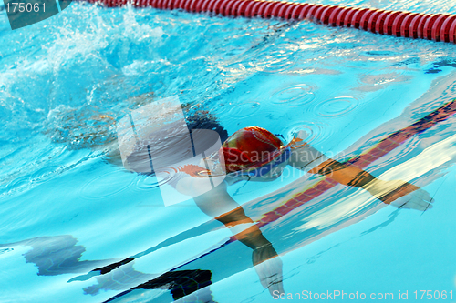 Image of Swimmer