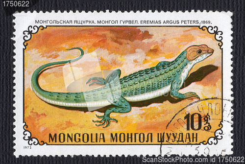 Image of Eremius Argus Lizard on a Mongolian Postage Stamp