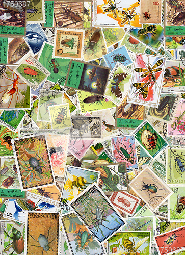 Image of Insect Postage Stamps
