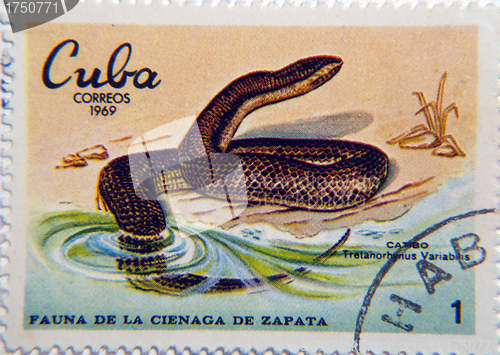 Image of Cuban Snake Postage Stamp