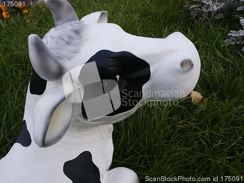 Image of cow