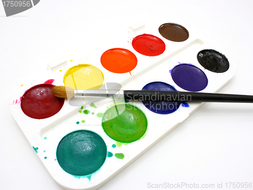 Image of Paints with brushes