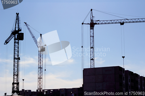 Image of  crane and blue sky on building site