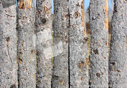 Image of Close up of  wooden fence panels