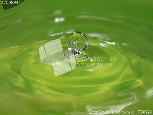 Image of Water drop