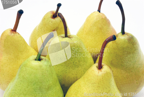 Image of Ripe pears