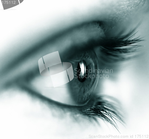 Image of Female eye