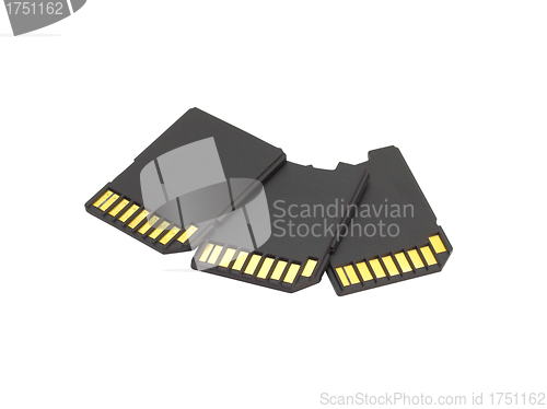 Image of Secure Digital memory cards on white background