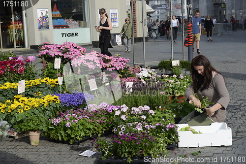 Image of Seller of flowers