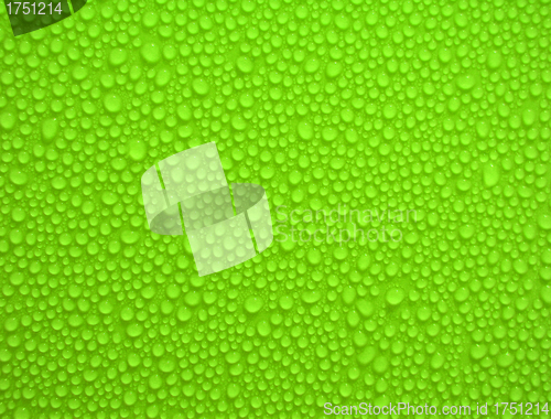 Image of water drops on green background