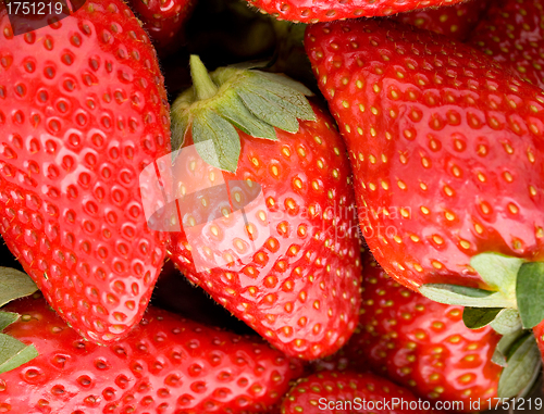Image of Fresh ripe perfect strawberry