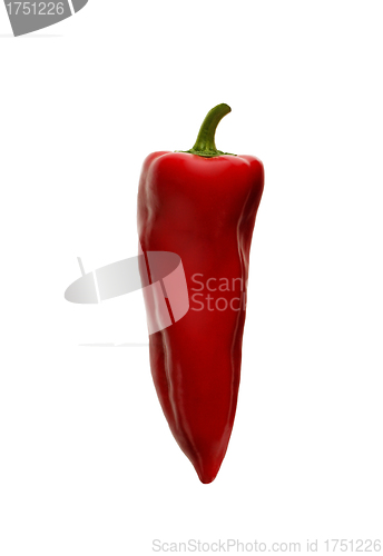 Image of red hot chili pepper isolated on a white background