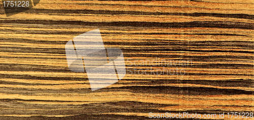 Image of Wood texture close-up background