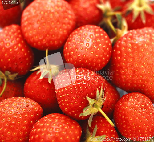Image of fresh strawberry