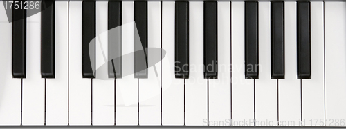 Image of Piano keyboard close-up