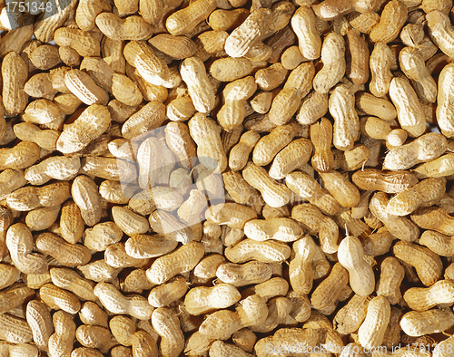 Image of close-up of some peanuts. background