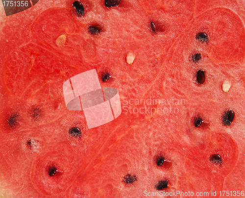 Image of Watermelon
