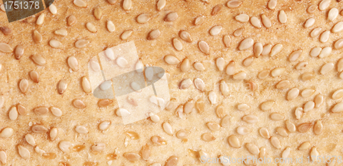Image of Sesame seeds horizontal background