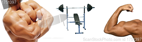 Image of Bodybuilders and simulator