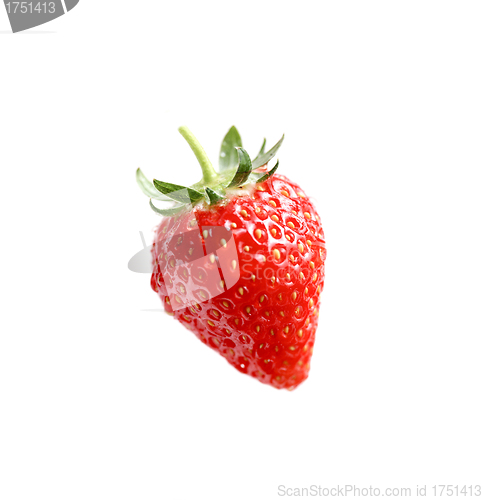 Image of fresh red strawberry