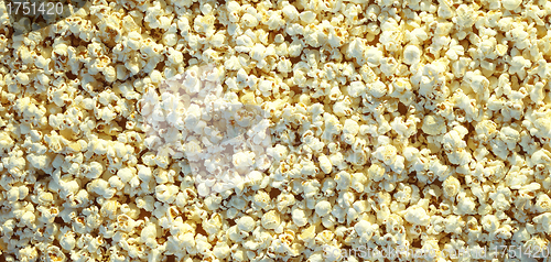 Image of Pop corn maize useful as a background