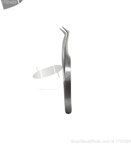 Image of stainless steel grooming tweezers