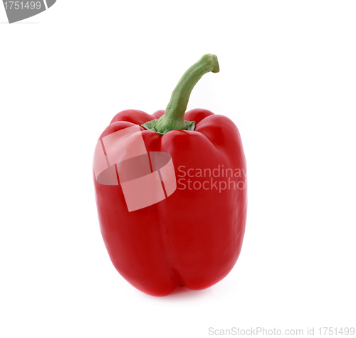 Image of pepper isolated on white background