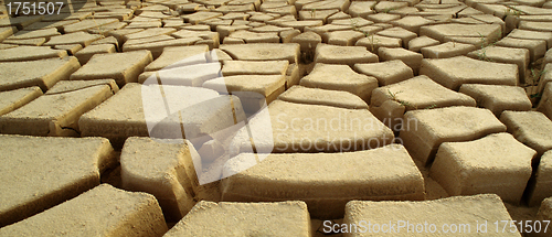 Image of Dry and cracked mud in dried up waterhole