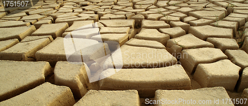 Image of Dry and cracked mud in dried up waterhole