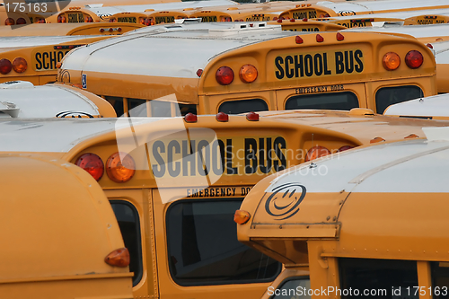 Image of School buses