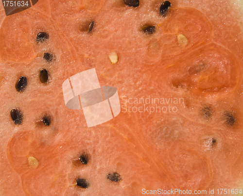 Image of watermelon close up