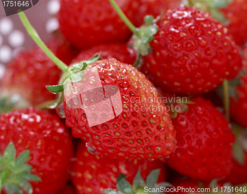 Image of fresh strawberry