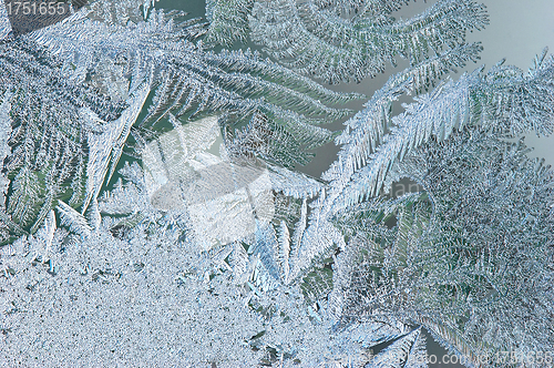 Image of Frosty natural pattern