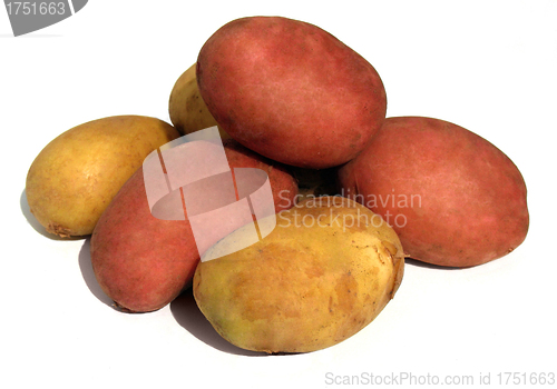 Image of Fresh white and red potatoes