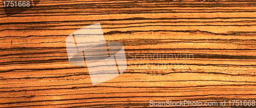 Image of old wood texture (for background)