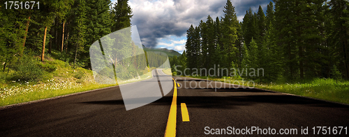 Image of Asphalt road running through forest