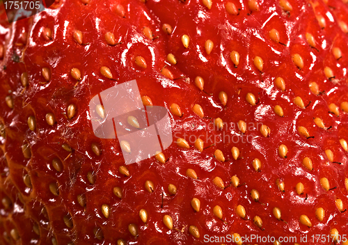 Image of extreme macro red strawberry