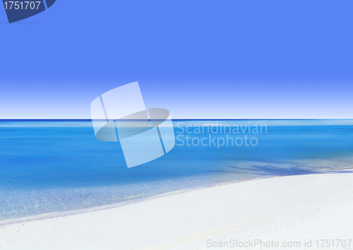 Image of Tropical beach