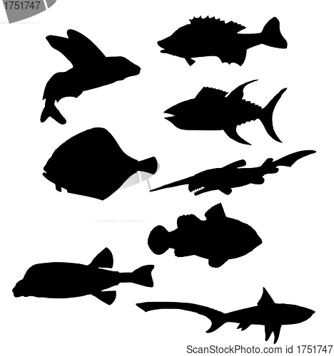 Image of fish silhouettes vector