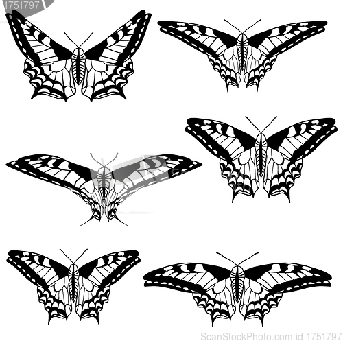 Image of Vector set of beautiful butterflies.